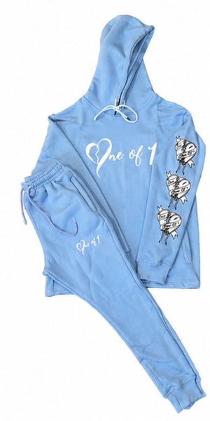 One of 1 hoodie set