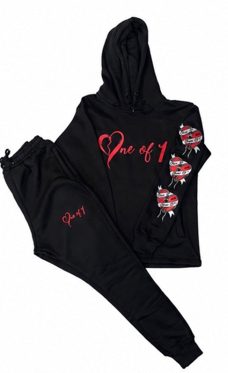 One of 1 hoodie set
